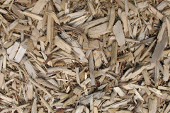 biomass boilers Carnyorth